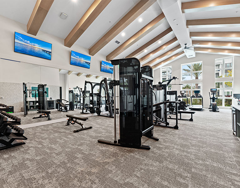 Fitness