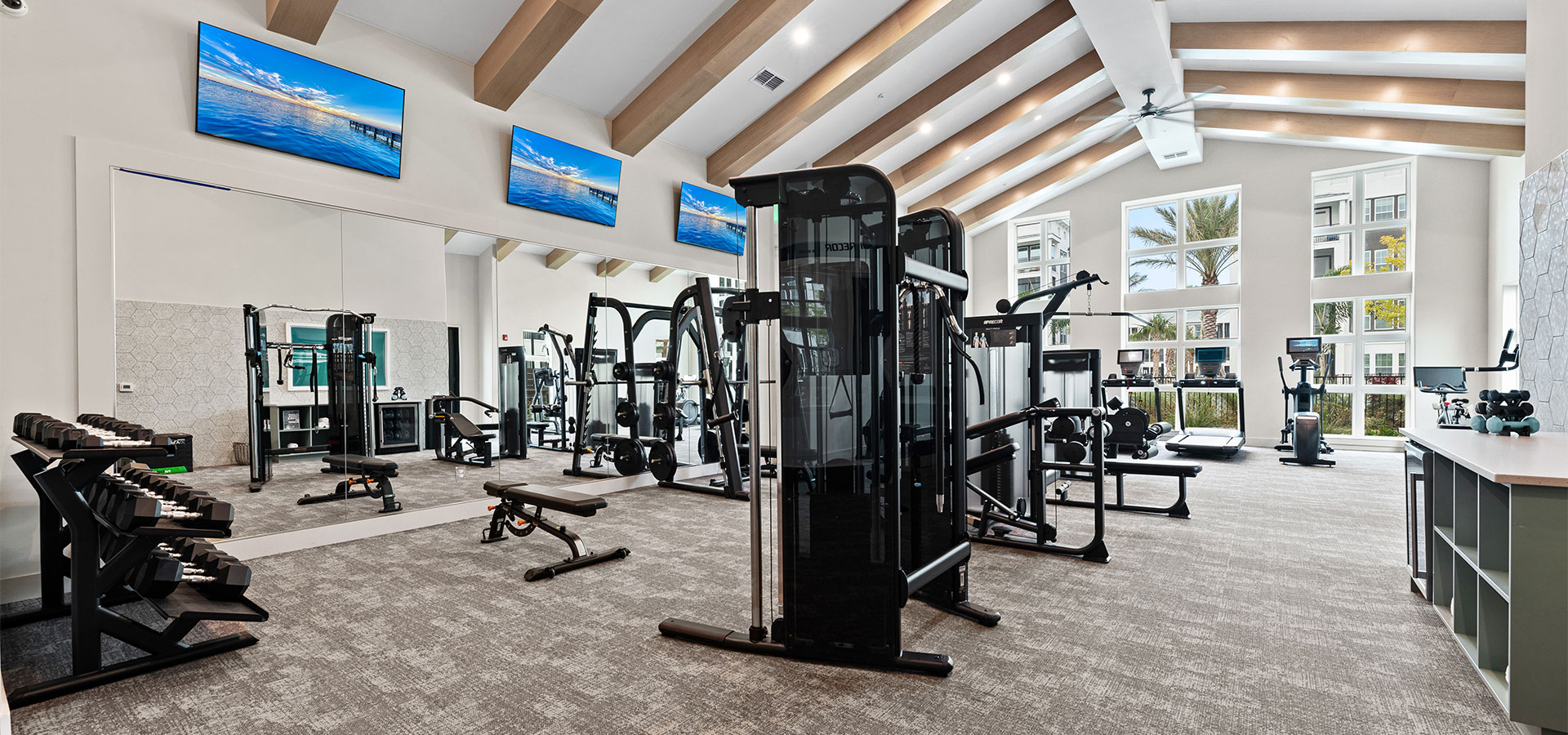 Fitness
